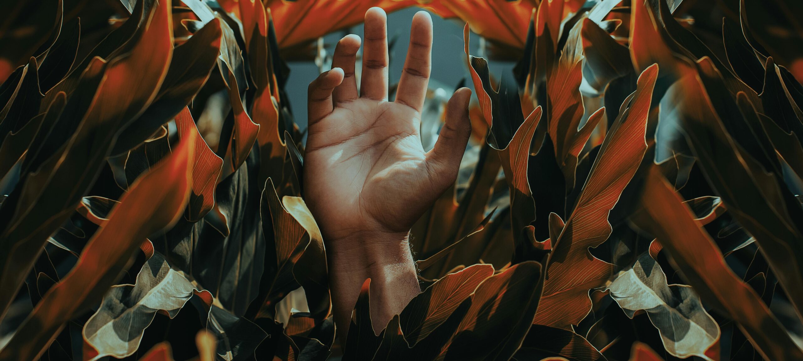 &nbsp;